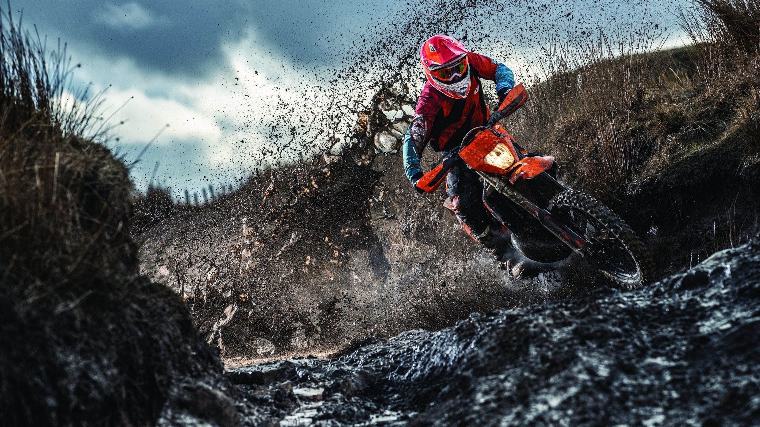 2024年德国队表现：如何实现技术和心理素质的突破，德国国家队2014